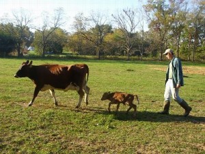 Bringing-in-mother-newborn