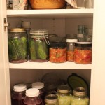 Fermenting-Projects Fermenting-Projects