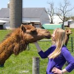 Grassfed on the Hill Buying Club Brings Farmers and Consumers Together