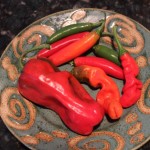 Hot-Peppers Hot-Peppers