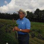 Joel-Salatin