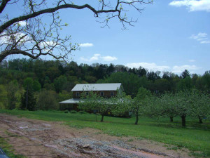 Mike Tabor's Licking Creek Bend Farm, at risk due to new FSMA regulations