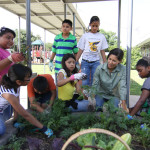 We Can Revive Devastated Communities by Teaching People to Farm