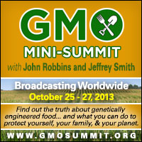 gmo-summit-2013-banner-200x200