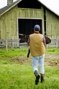 My favorite photo of the year, Mike Peterson carrying a lamb