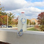 raw-milk-shackles raw-milk-shackles