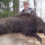 wild-boar